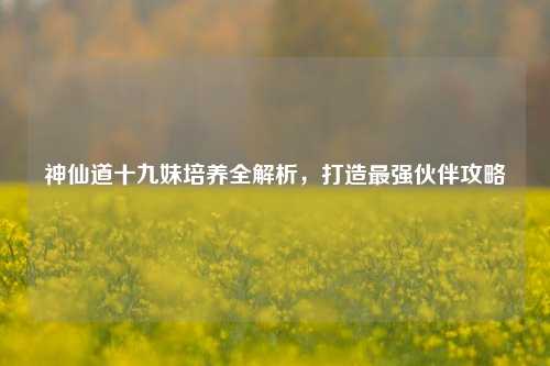 神仙道十九妹培养全解析，打造最强伙伴攻略