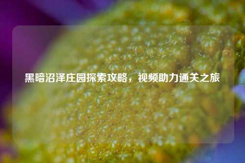 黑暗沼泽庄园探索攻略,视频助力通关之旅