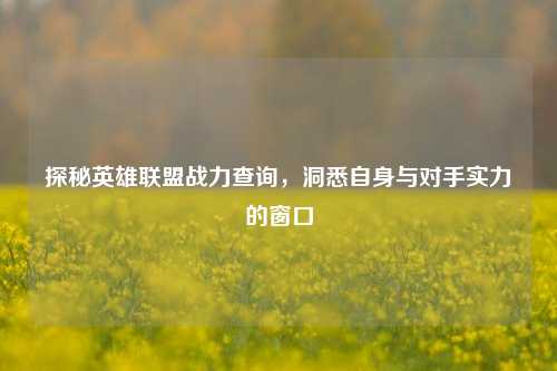 探秘英雄联盟战力查询，洞悉自身与对手实力的窗口