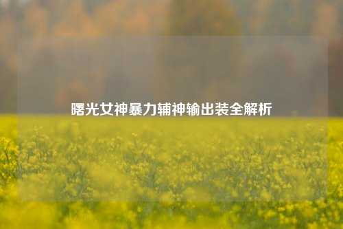 曙光女神暴力辅神输出装全解析