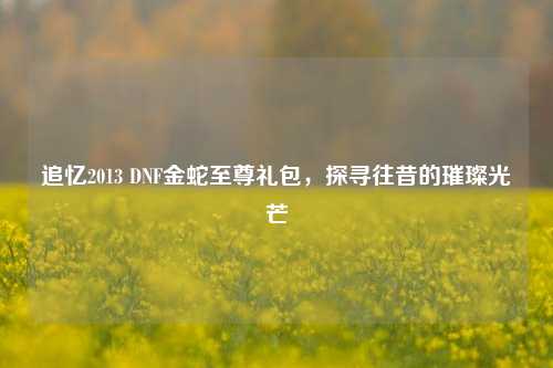 追忆2013 DNF金蛇至尊礼包,探寻往昔的璀璨光芒
