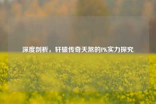 深度剖析,轩辕传奇天煞的PK实力探究