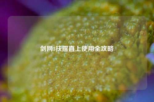 剑网3扶摇直上使用全攻略