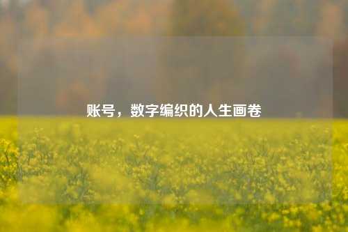 账号,数字编织的人生画卷