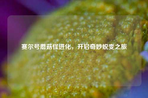 赛尔号蘑菇怪进化，开启奇妙蜕变之旅