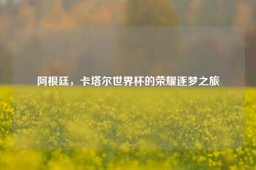 阿根廷，卡塔尔世界杯的荣耀逐梦之旅