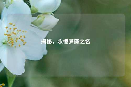 揭秘，永恒梦魇之名