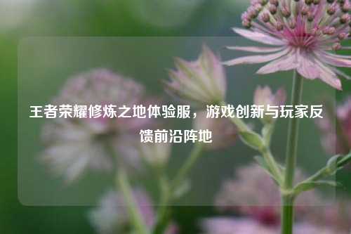 王者荣耀修炼之地体验服,游戏创新与玩家反馈前沿阵地
