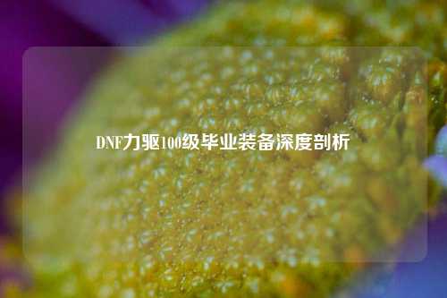 DNF力驱100级毕业装备深度剖析