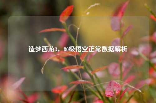 造梦西游3,80级悟空正常数据解析