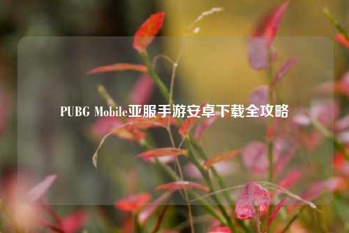 PUBG Mobile亚服手游安卓下载全攻略