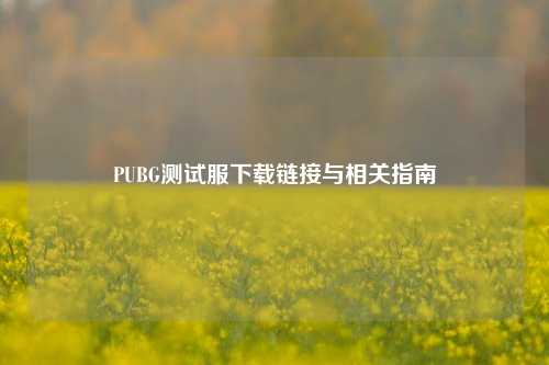 PUBG测试服下载链接与相关指南