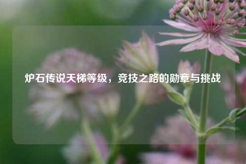 炉石传说天梯等级,竞技之路的勋章与挑战